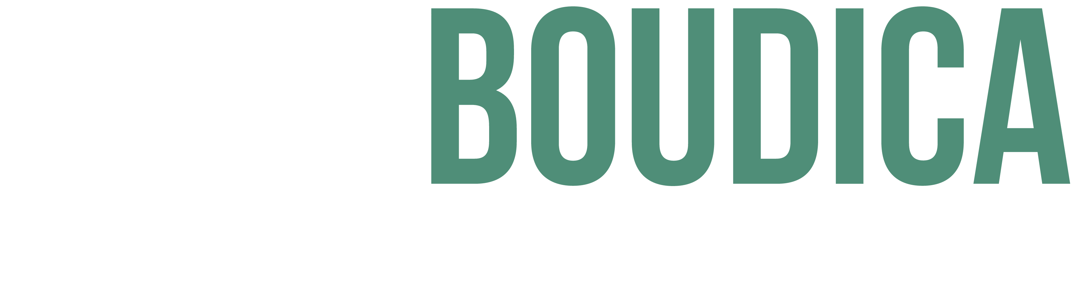 Boudica Cybersecurity Training Course Logo